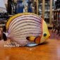 ماهی رومیزی ساخت ایتالیا کد 5